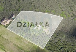 Działka inna Wola Władysławowska