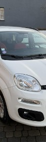 Fiat Panda III 1,2 69KM Klimatyzacja Serwisowany 1Właściciel-3