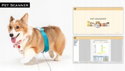 Biorezonans Analizator Zdrowia dla Zwierząt - Psy Koty