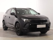 Opel Inny Opel , Salon Polska, Automat, VAT 23%, Skóra, Navi, Klimatronic,