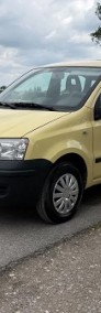 Fiat Panda II-3