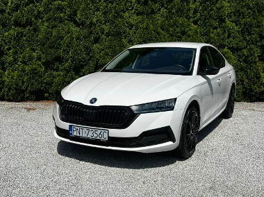 Skoda Octavia IV 2.0 TDI automat Sedan-1