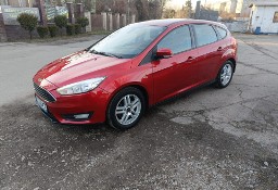 Ford Focus III Lift bordowa perła 1.6 TDCI