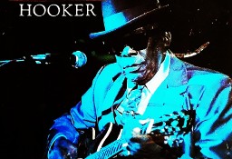Sprzedam Album CD Króla Blues-a John Lee Hooker  CD Nowa