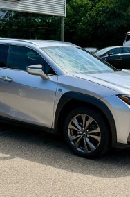 Lexus UX 300h F Sport Design 2.0 Hybrid Dynamic Force UX 300h F Sport Design 2.0-2