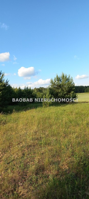 Piękna działka 1,3 ha na końcu wsi Sródborze (WZ), ciechanowski