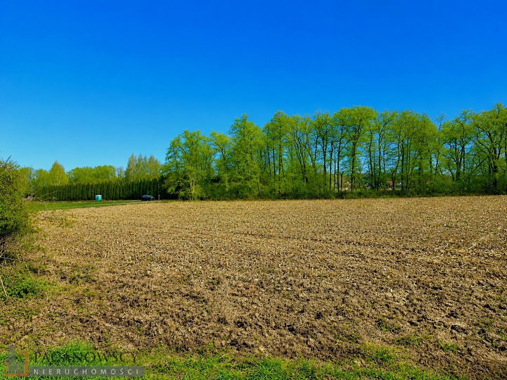 Działka na sprzedaż, 3900 m², Zielonki Pękowice - Widok 3