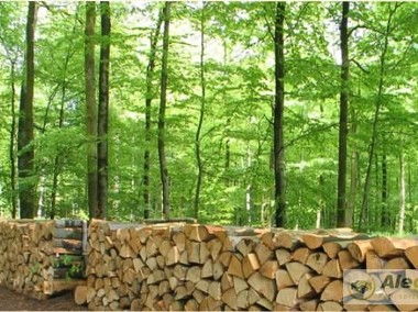 Drewno opalowe,kora drzewna.Cena 15 zl/m3-1