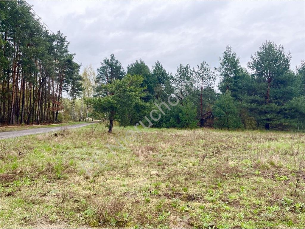 Natura, przestrzeń, komfort. - Widok 2