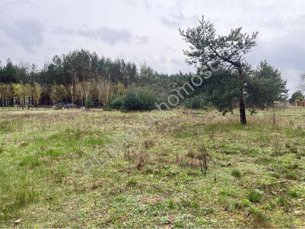 Natura, przestrzeń, komfort. - Widok 5