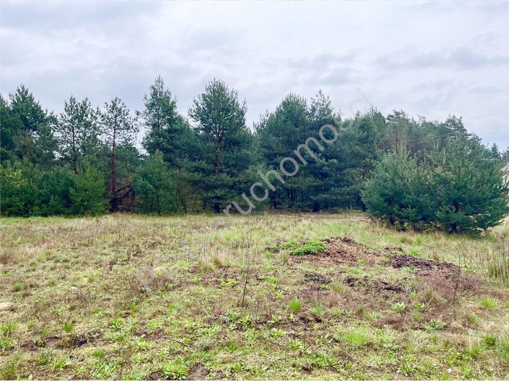 Natura, przestrzeń, komfort. - Widok 6