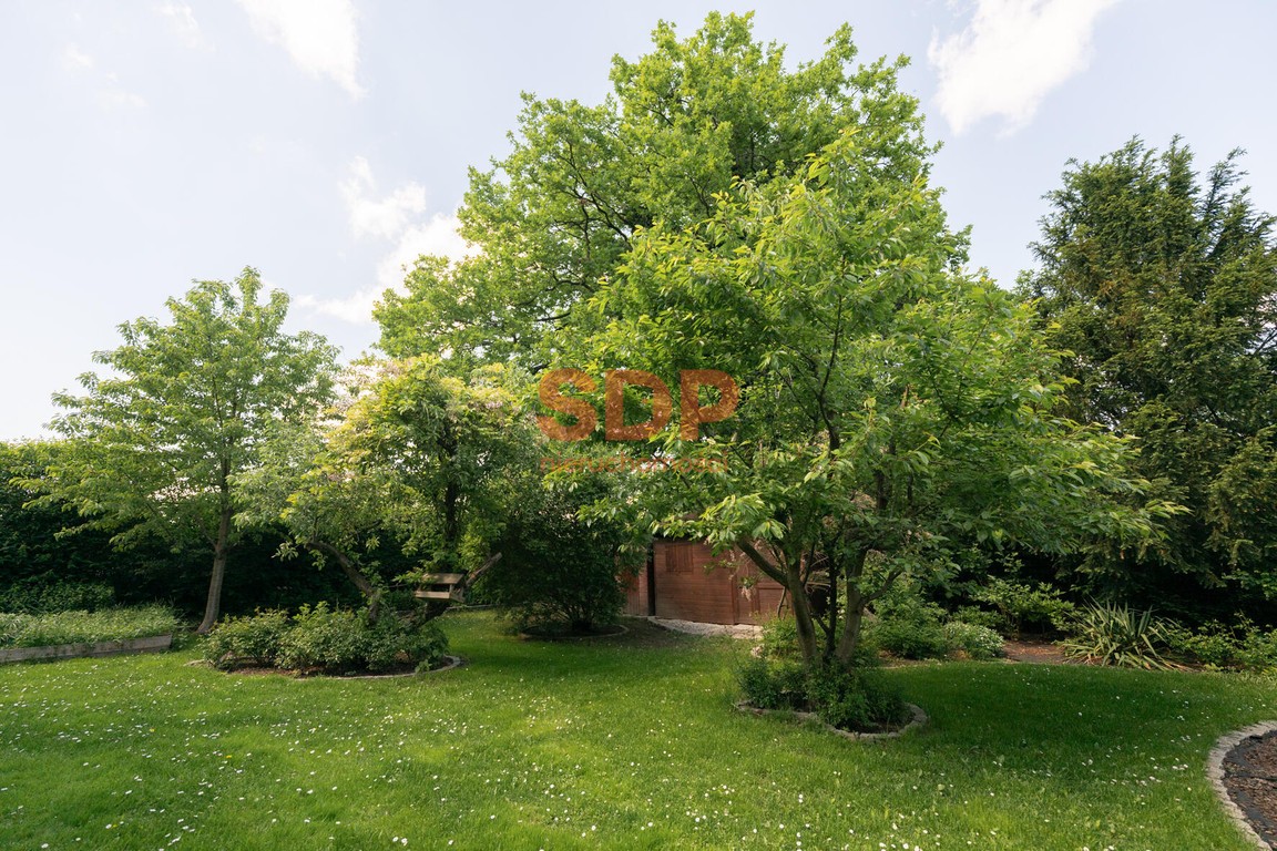 Klimatyczny dom w otoczeniu zieleni, Biskupin 240 m² / 803 m² - View 4