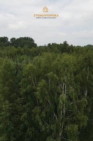 Działka Leśna w gminie Sławno -2