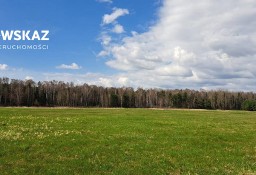 Działka rolna Brudzowice