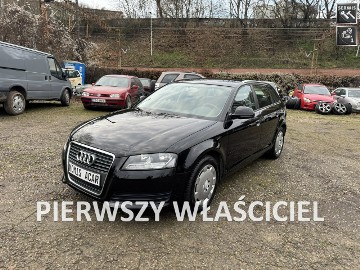 Audi A3 II (8P) 1.6MPi-102km-Serwisowany-Bezwypadkowy-Klimatronik-DRL-Światła Dzienn