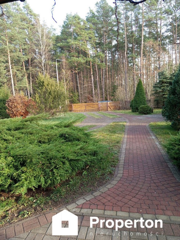 Dom w otoczeniu lasów/ Działka 32 arów - Widok 3