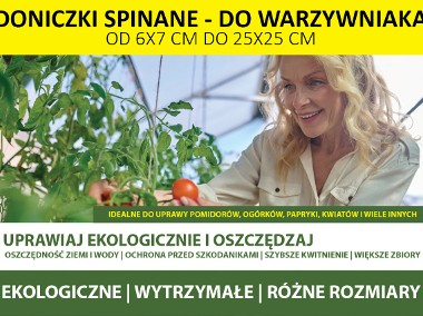 Ekologiczna uprawa Warzyw – Doniczki Spinane -1