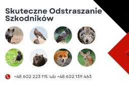 Odstraszacz na dziki, wilki, szpaki, lisy, jastrzębie, szkodniki