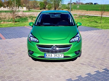 Śliczny z niskim przebiegiem-KAMERA-1