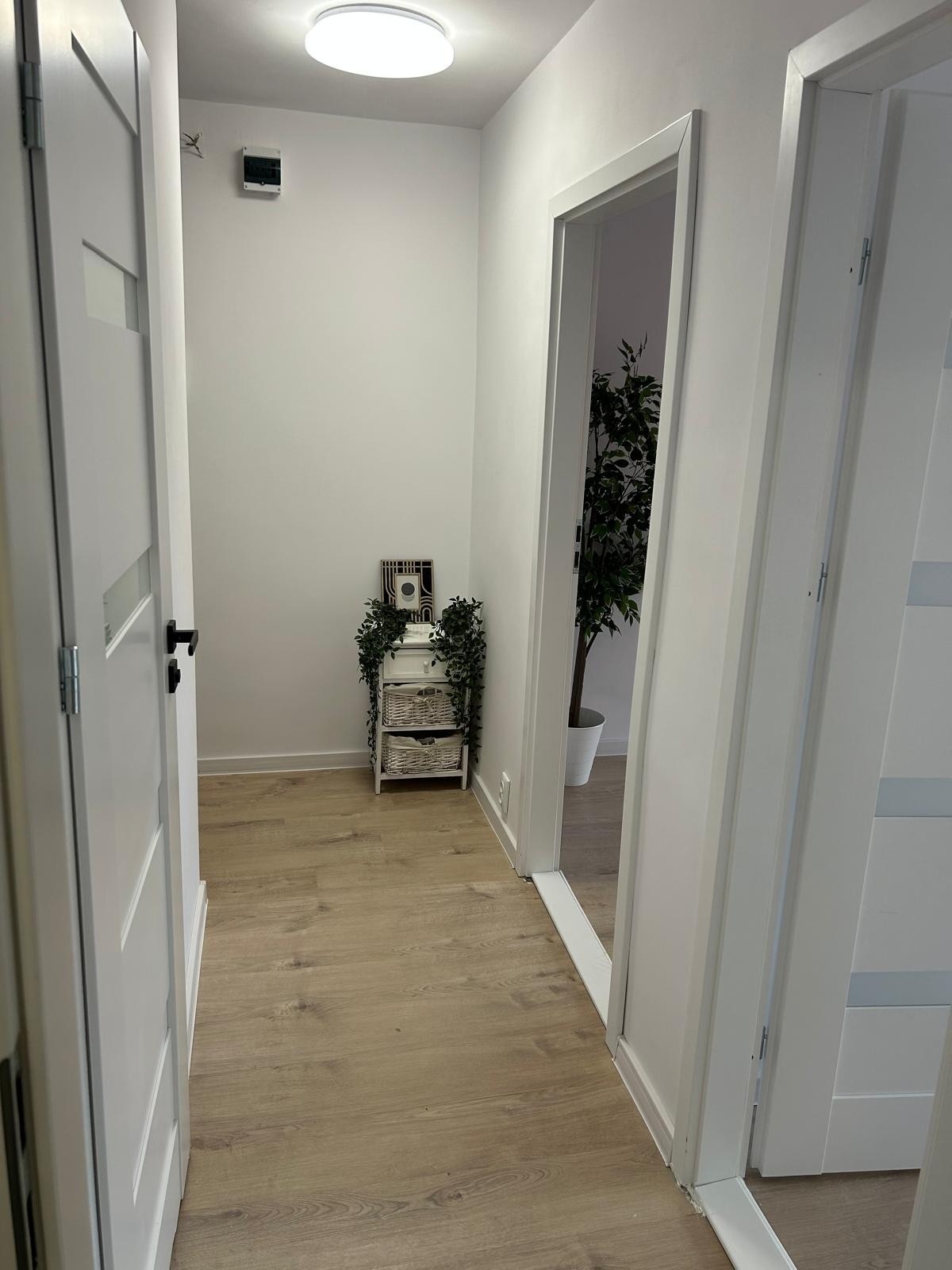 Dwa pokoje, mieszkanie po remoncie 38 m² Pruszków Chopina - Widok 5