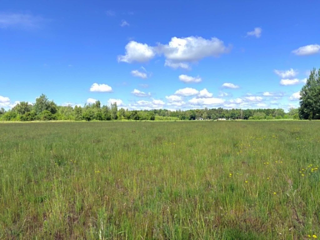 Działki budowlano-usługowe | MPZP | 1718 m² – pohled 5