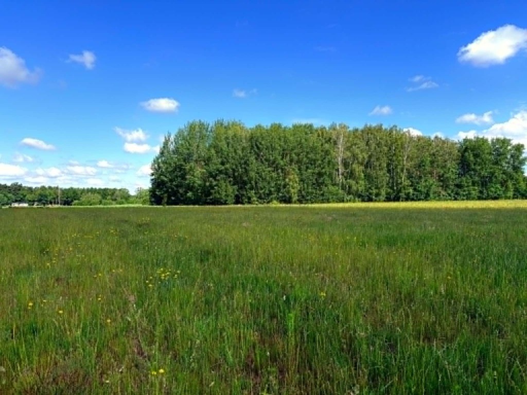 Działki budowlano-usługowe | MPZP | 1718 m² – pohled 6