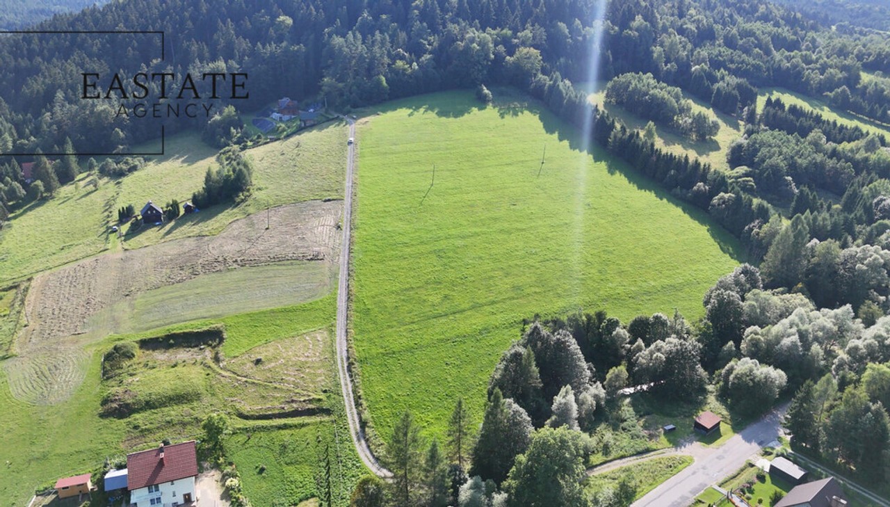 Grunt inwestycyjny 3,35 ha | MPZP | Beskid Sądecki - Widok 3