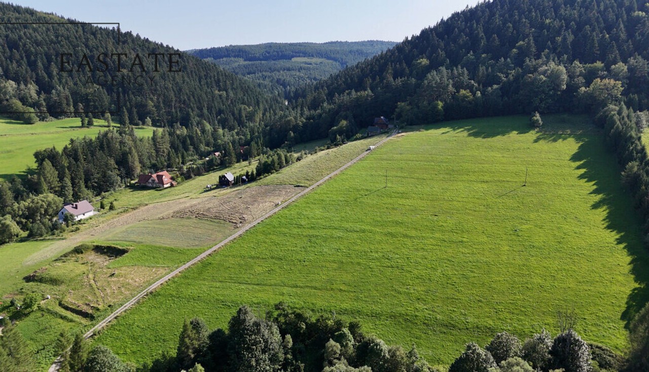Grunt inwestycyjny 3,35 ha | MPZP | Beskid Sądecki - Widok 4