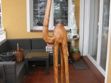  drewniana figurka wielbłąd 200cm-1