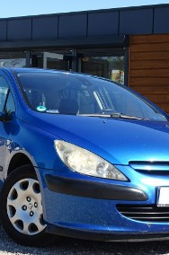 Peugeot 307 I 1.6i(109KM)-2