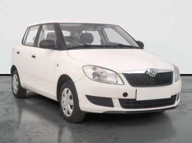 Skoda Fabia II , Salon Polska-1