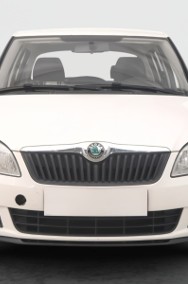 Skoda Fabia II , Salon Polska-2