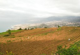 Działka inna Santa Cruz De Tenerife, Los Realejos