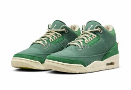 Nike AIR JORDAN 3 Nina Chanel Abney Bicoastal / FZ7974–300