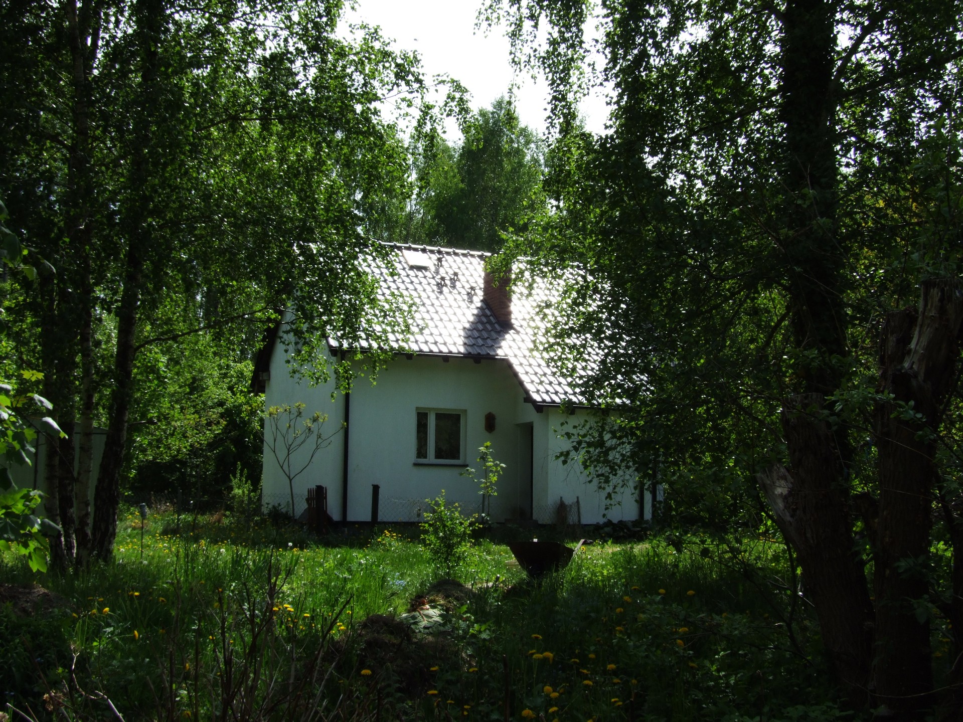 Dom wolnostojący + działka 8900 m2
