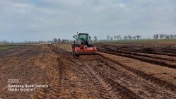 Mulczowanie powierzchniowe i wgłebne Wycieczka drzew Karczowanie Frezowanie