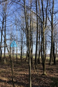 Działki siedliskowe - 10km od trasy Kaszubskiej-2