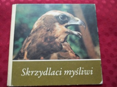 Ptaki - Skrzydlaci myśliwi - Rudolf Leipzig-1