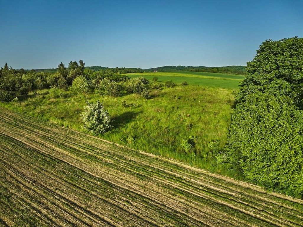 Działki w sercu Jury Krakowsko-Częstochowskiej – blisko natury - Więcej