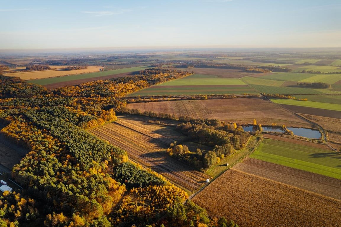 Żyj blisko natury – działki przy lesie w Poniatowicach - Widok 5