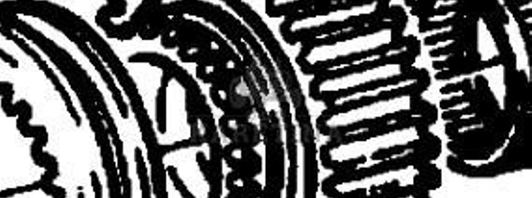 Fendt Favorit 514 Koło Zębate Walcowe CZĘŚCI 514100220160-1