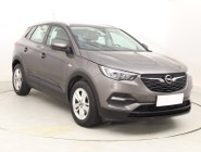 Opel Inny Opel , Salon Polska, Automat, VAT 23%, Klimatronic, Tempomat,