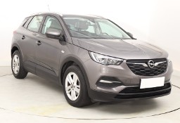 Opel Inny Opel , Salon Polska, Automat, VAT 23%, Klimatronic, Tempomat,