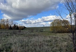 Urokliwa działka w pobliżu Jeziora Narie, wieś Wilnowo