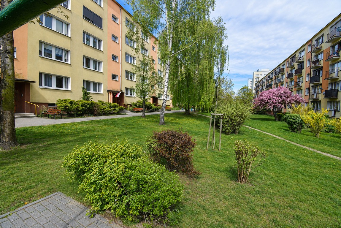 Mieszkanie 2-pokojowe 42m2 ul.Asnyka