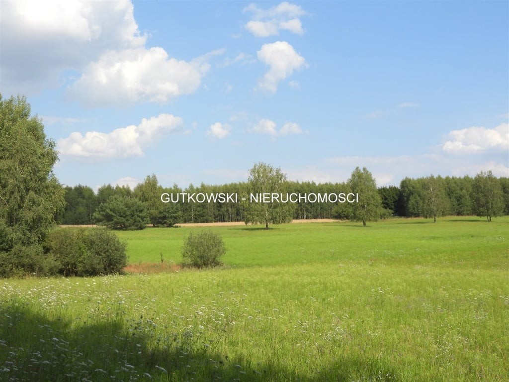 Teren o pow. ~9,35 ha (gospod.) na Pojezierzu Brodnickim na Mazurach Zach., Kurzętnik