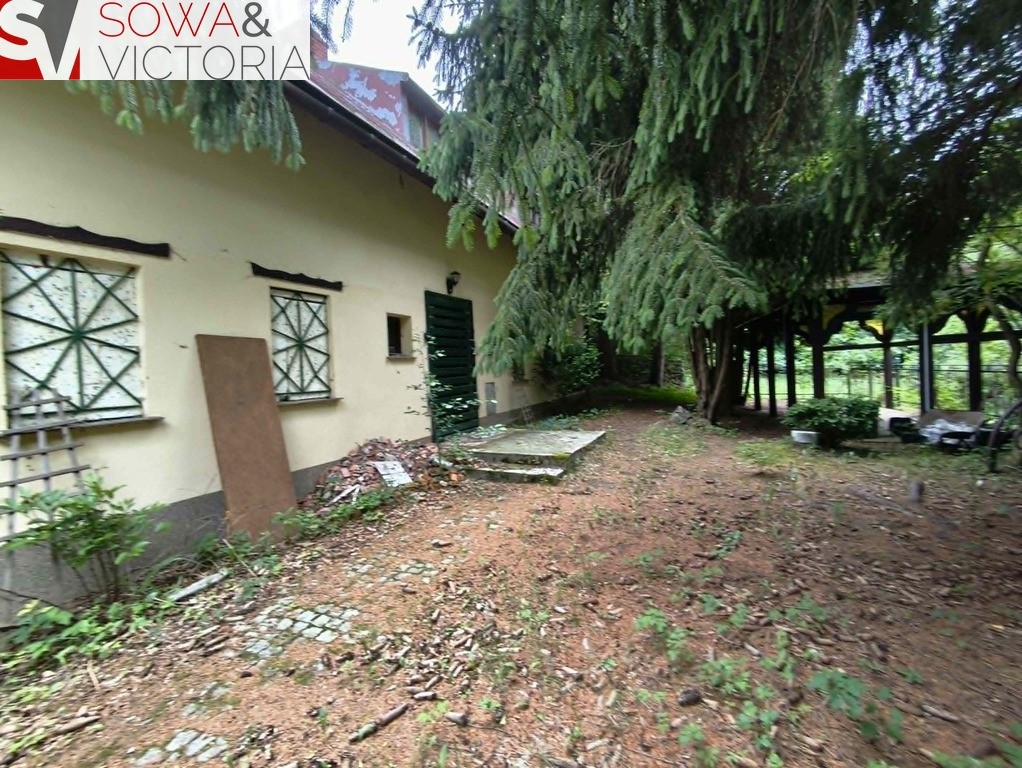 Dom bez sąsiedztwa , działka 9300 m 2 - Widok 3