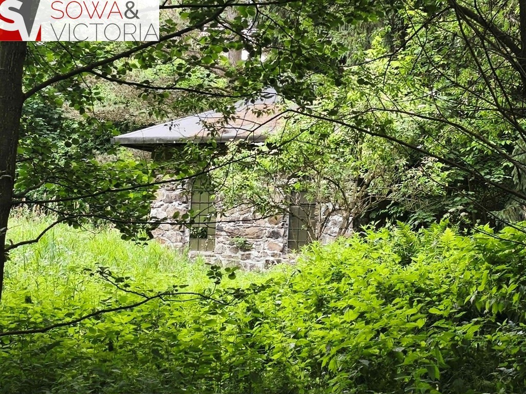 Dom bez sąsiedztwa , działka 9300 m 2 - Widok 4