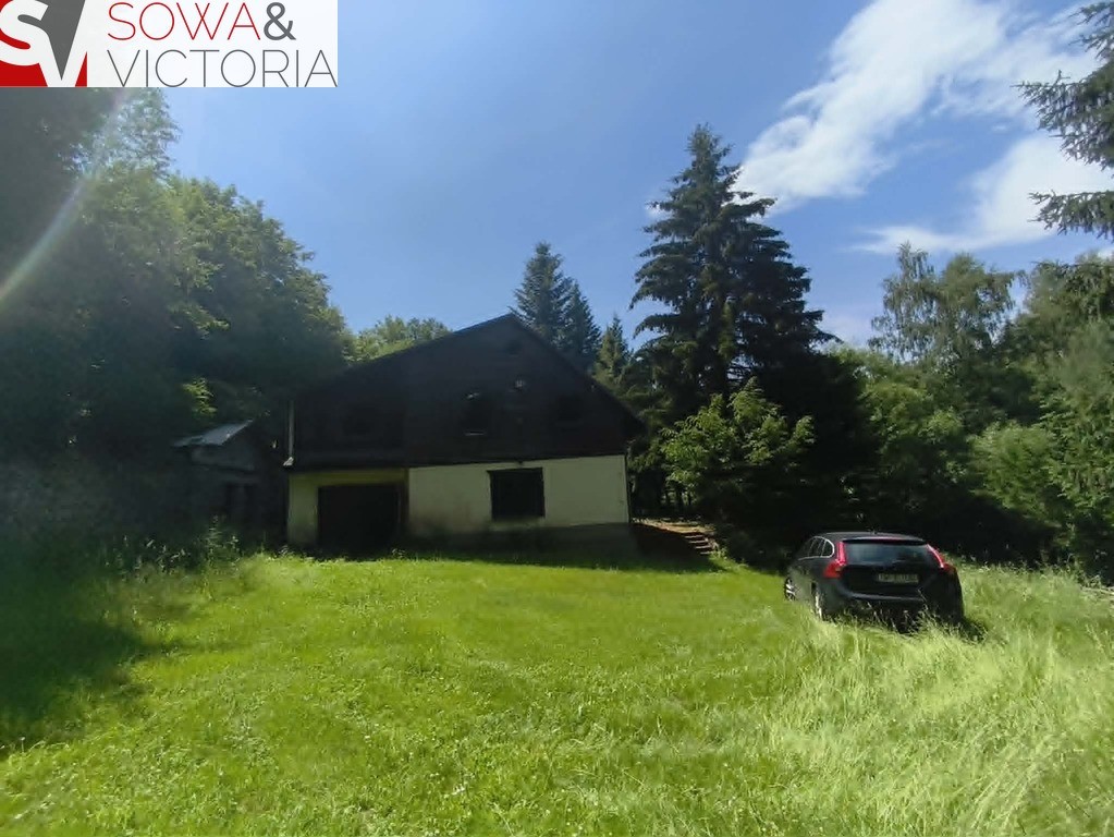 Dom bez sąsiedztwa , działka 9300 m 2 - Widok 5