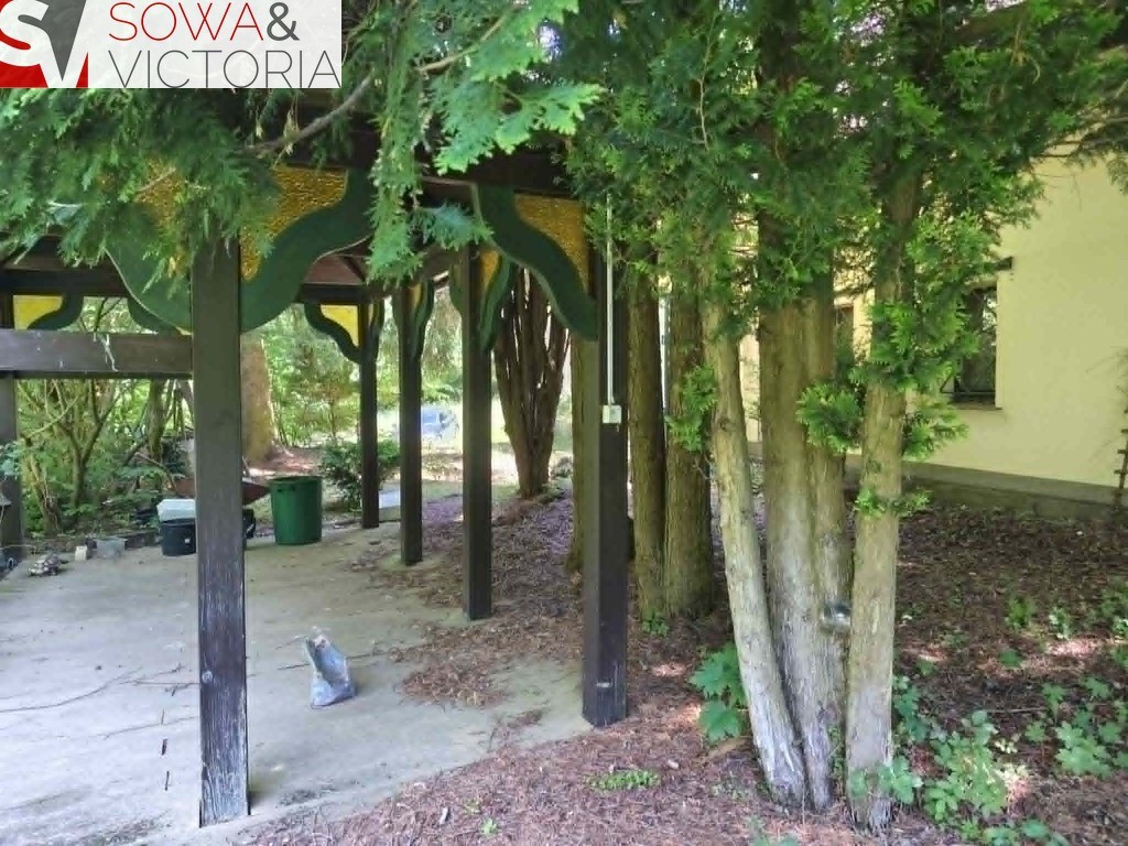 Dom bez sąsiedztwa , działka 9300 m 2 - Widok 6